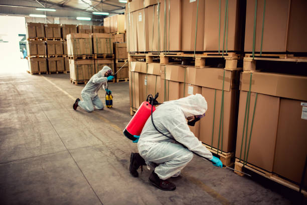 Best Cockroach Control Services  in Brecksville, OH