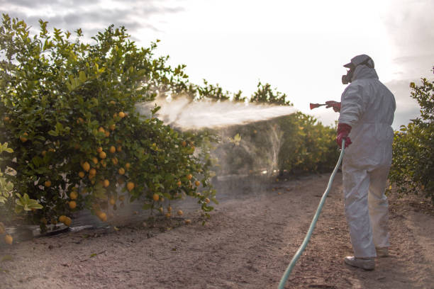 Best Commercial Pest Control Services  in Brecksville, OH