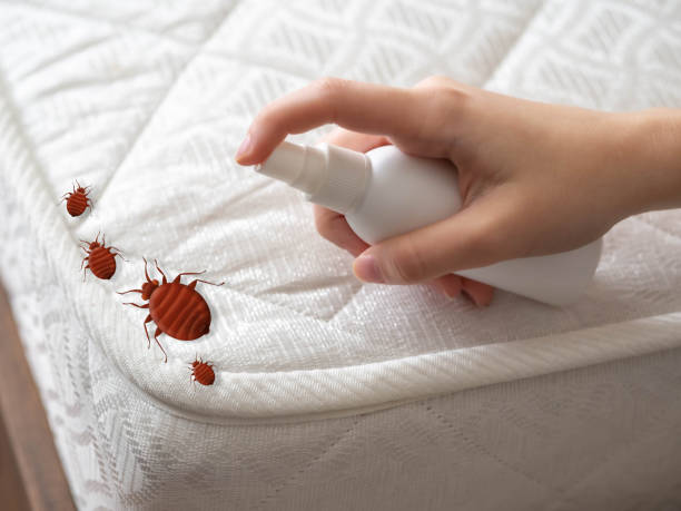 Best Best Pest Control Companies  in Brecksville, OH